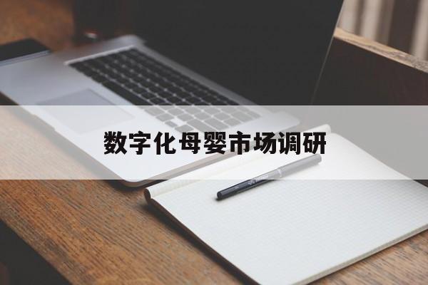基隆市数字化母婴市场调研(数字化母婴市场调研报告)